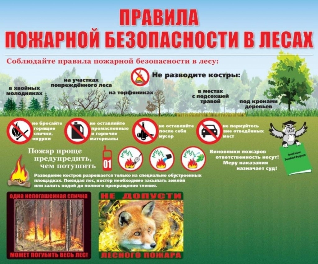 Ответственность за нарушение правил пожарной безопасности в лесу